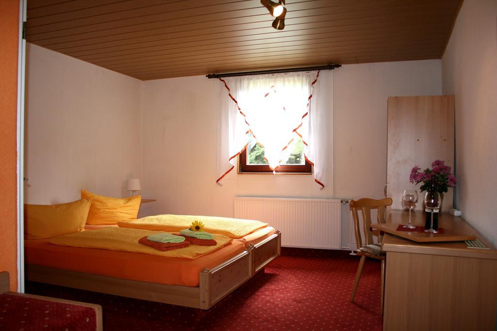 Pension Waldschanke Geyer Exteriér fotografie