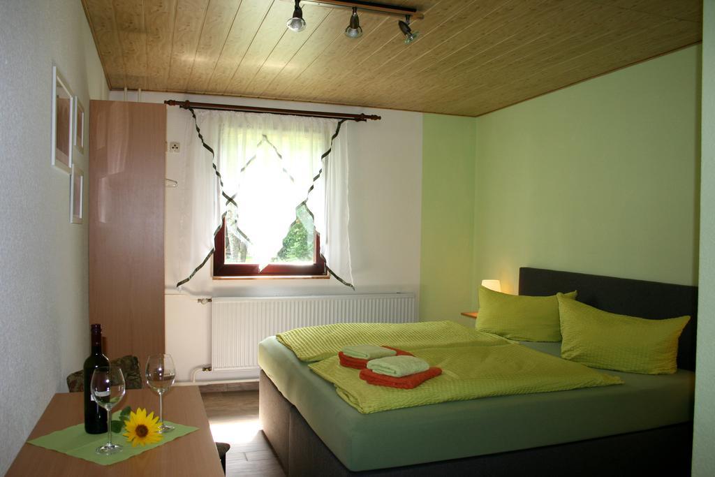 Pension Waldschanke Geyer Exteriér fotografie
